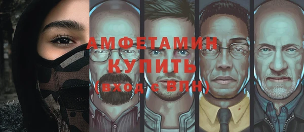 шишки Богородск