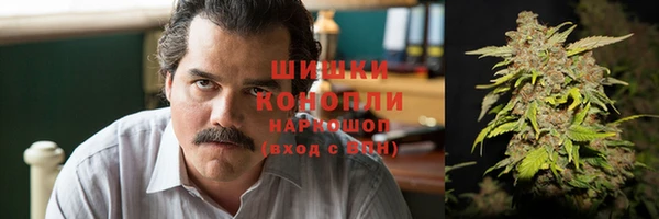 шишки Богородск